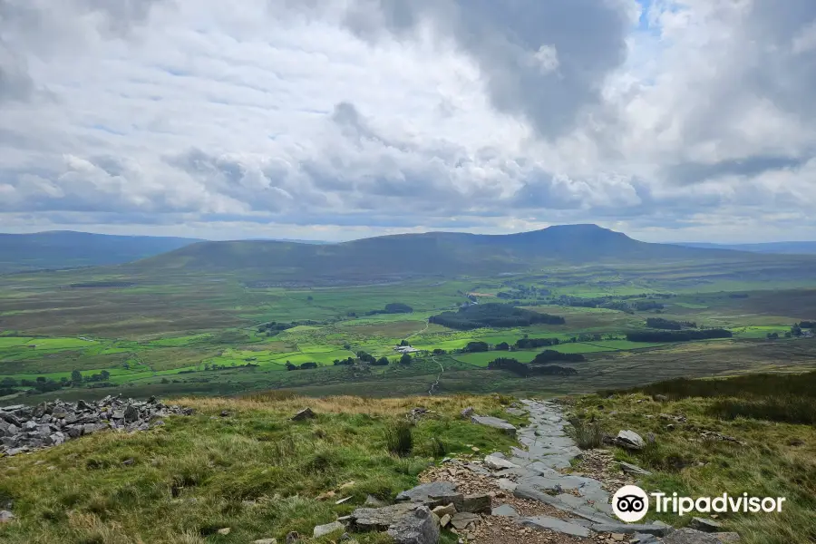 Whernside