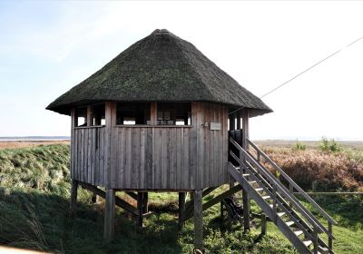 Pramort Naturschutzgebiet Kranichbeobachtungspunkt