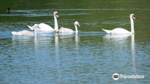 Parc Naturel du Patis