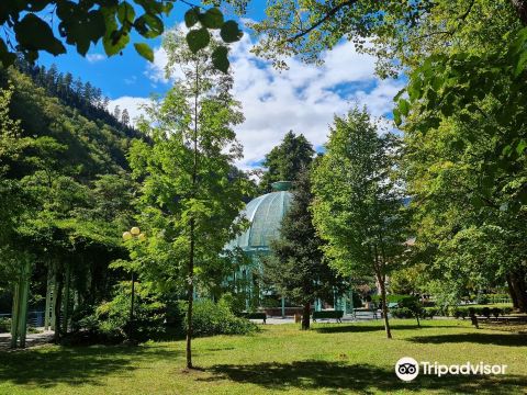 Compare 5 airports near Borjomi