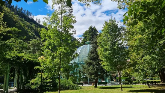 Borjomi Central (Historical) Park