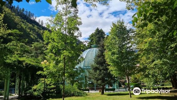 Borjomi Central Park