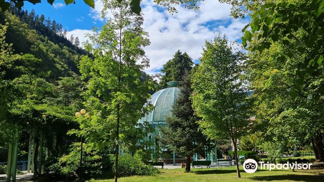 Borjomi Central Park