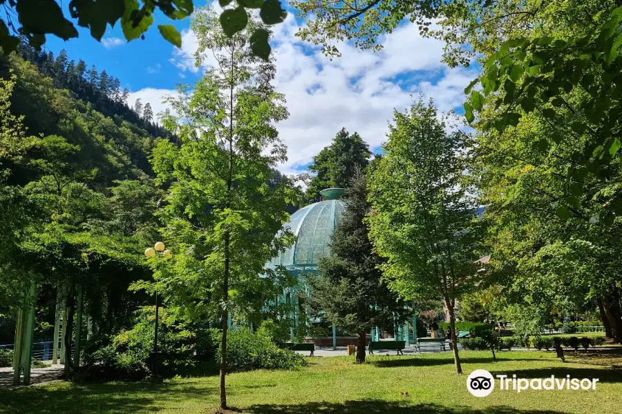 Borjomi Central (Historical) Park