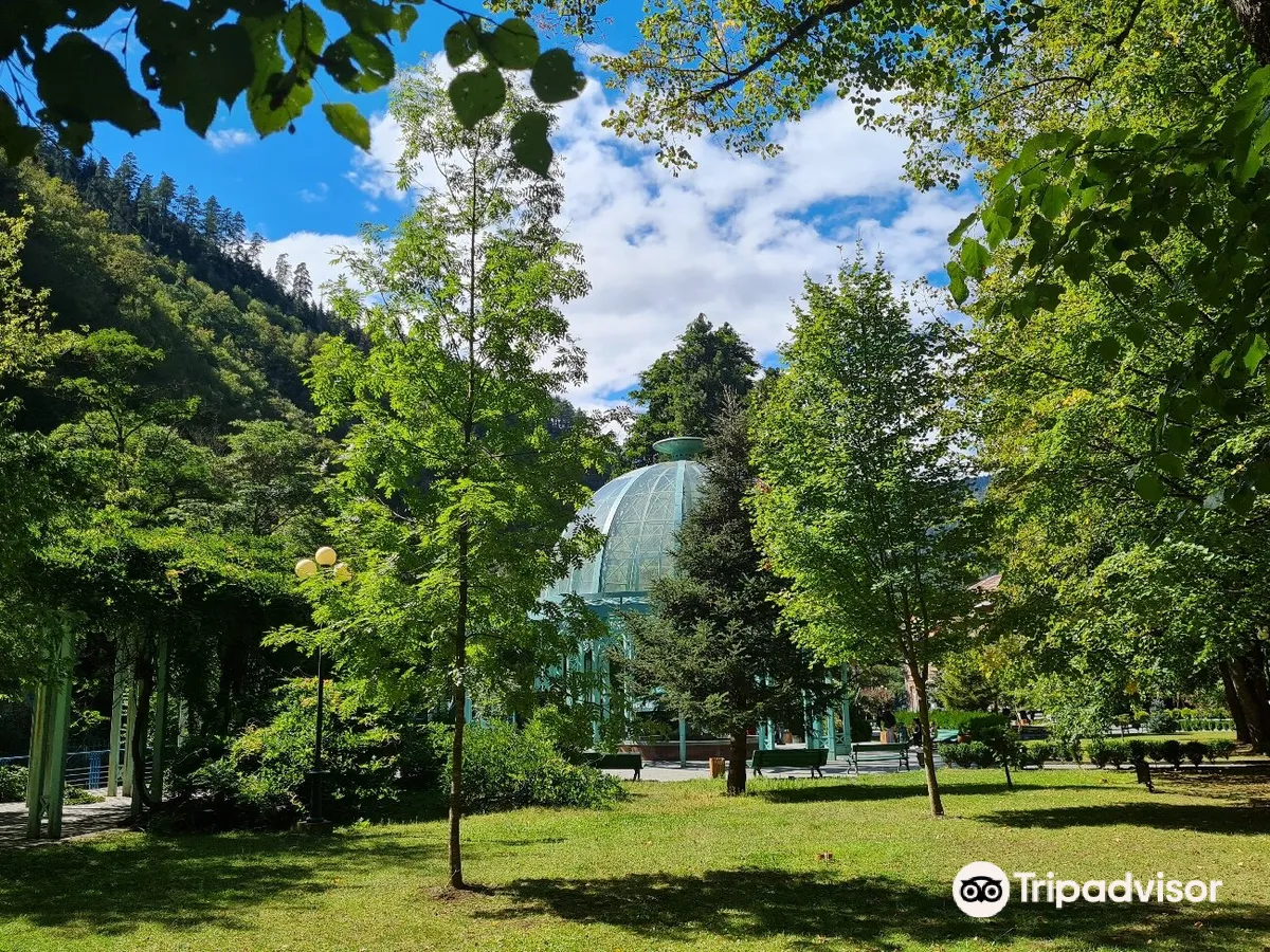 Borjomi Central Park