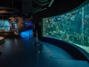 克里特水族館