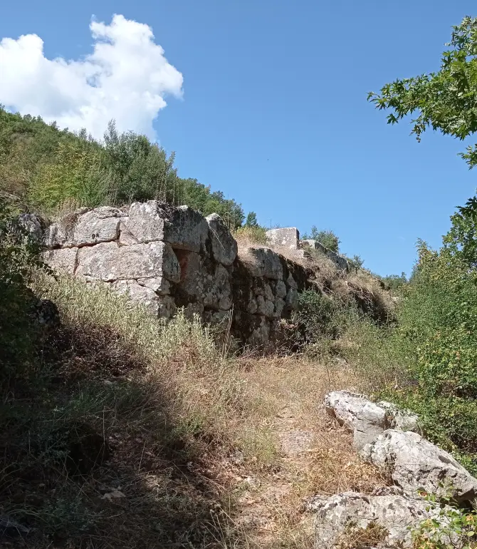Parnassos