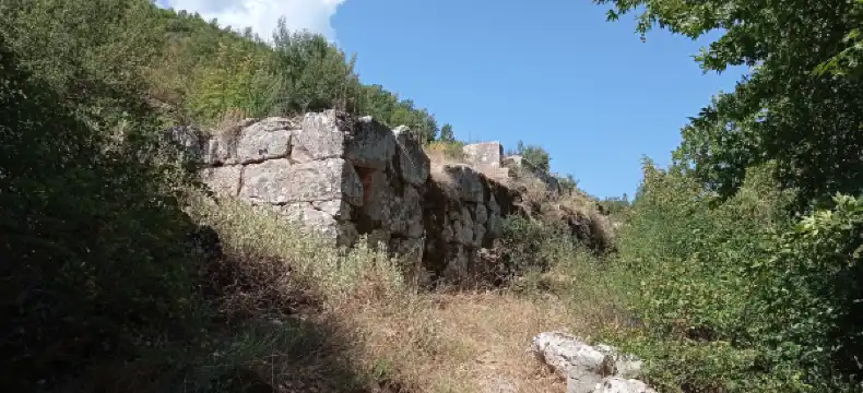 Hotels in Parnassos