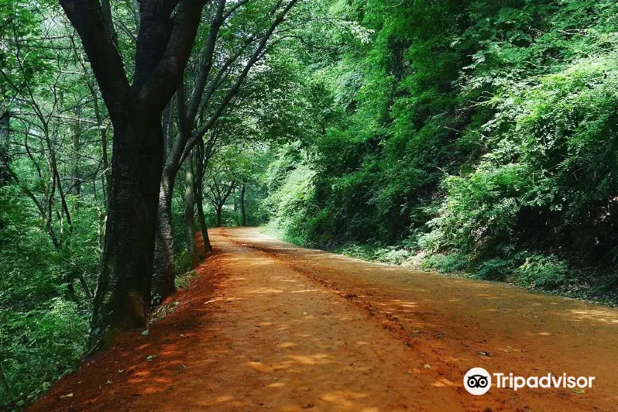 계족산 황톳길