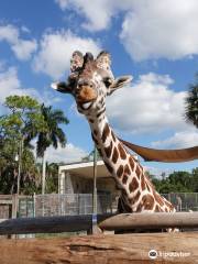 Naples Zoo at Caribbean Gardens