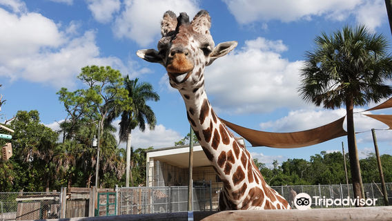 Naples Zoo at Caribbean Gardens