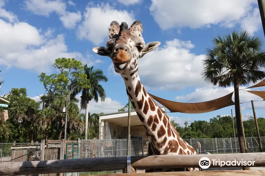 Naples Zoo at Caribbean Gardens