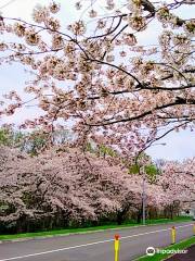 戸田記念墓地公園