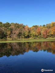 Lake Fairfax Park