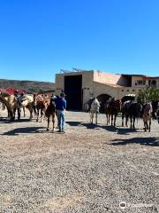 Rancho Los Bandidos