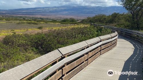 Kealia Coastal Boardwalk