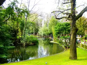 Campo de San Francisco