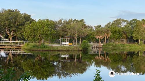 Wood Ibis Park