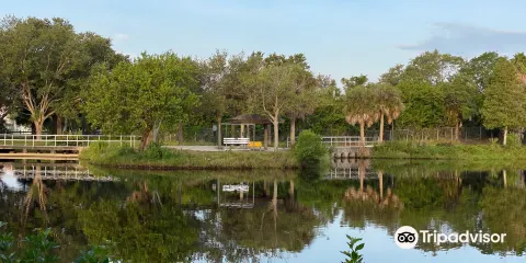 Ted Phillips Wood Ibis Park