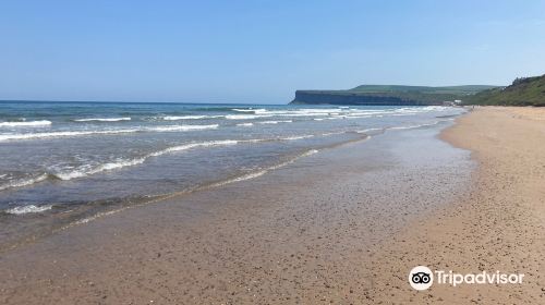 Marske Sands Beach