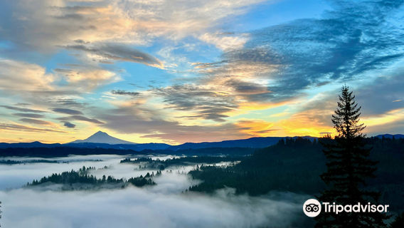 Jonsrud Viewpoint