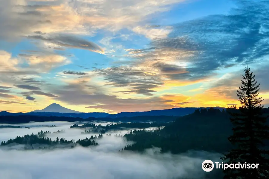 Jonsrud Viewpoint