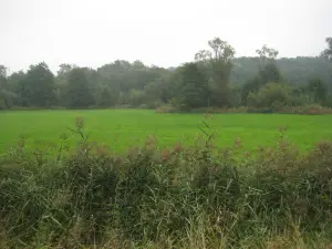 Wildgehege Landschaftsgarten Bad Salzuflen