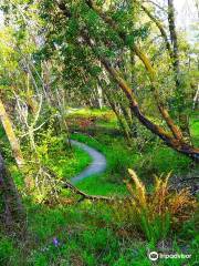 Wild Iris Ridge Park