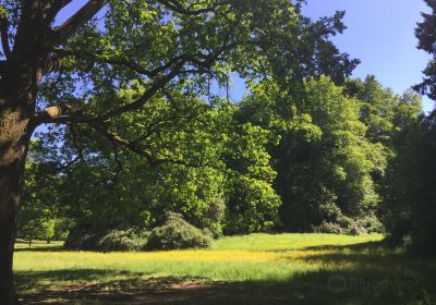 The Arboretum of Tervuren