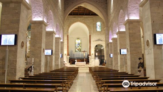 Cathedral of Saint Mary of the Assumption