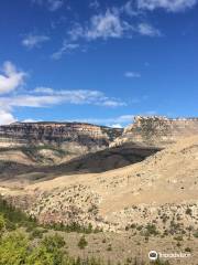 Bighorn National Forest