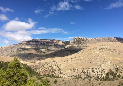 Bighorn National Forest