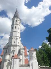 Siauliai Saint Disciple Peter and Paul Cathedral