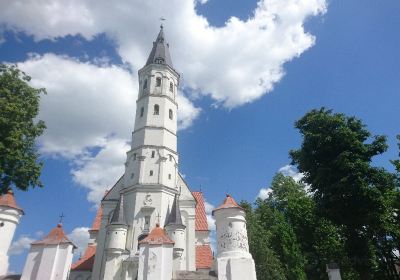 Siauliai Saint Disciple Peter and Paul Cathedral