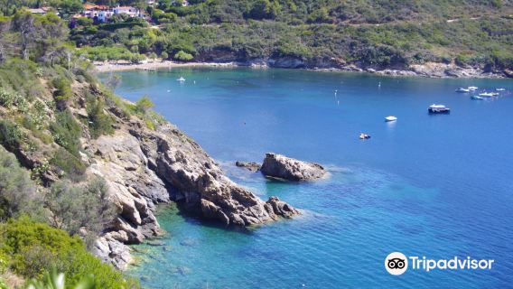 Barbarossa Beach