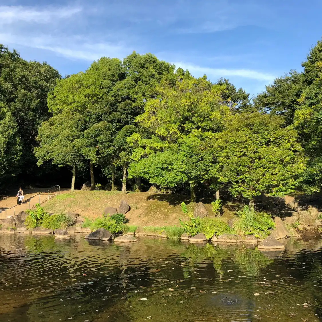 Hotels near Ozenji Furusato Park