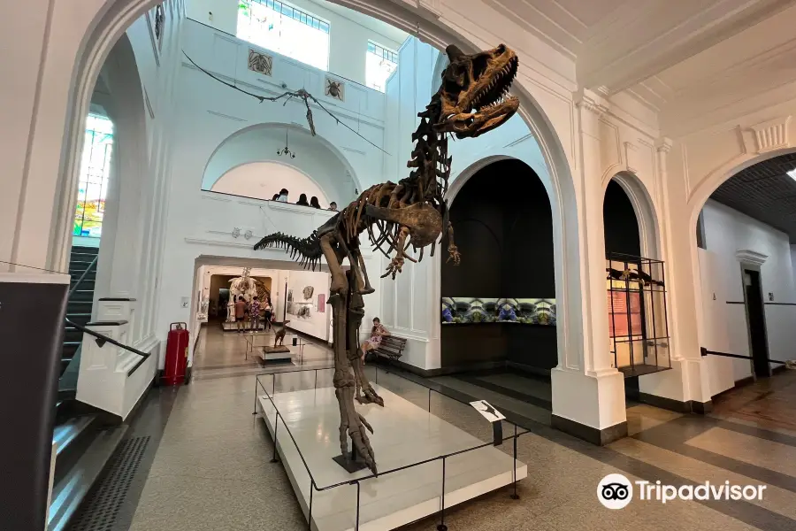 Museum of Zoology of the University of São Paulo