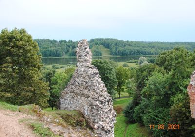 Comté de Viljandi