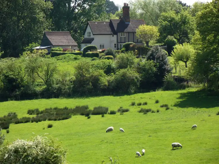 Hotels in Gosfield