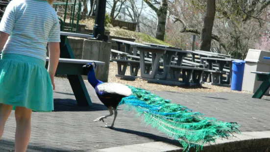 Connecticut's Beardsley Zoo