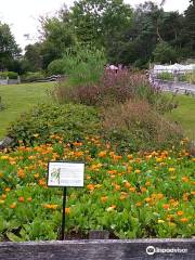 Stavanger Botanical Garden