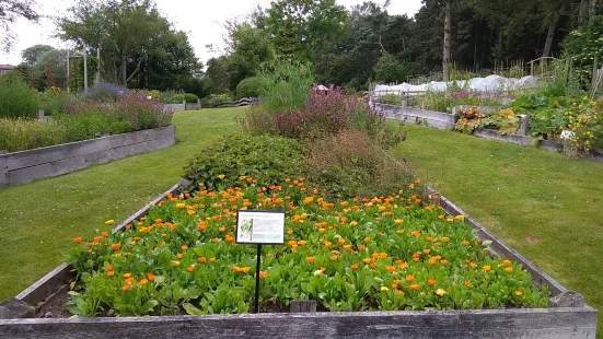 Stavanger Botanical Garden