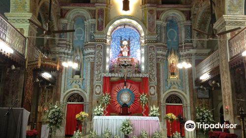 Santa Cruz Cathedral Basilica Fort Kochi