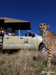 Cheetah Conservation Fund