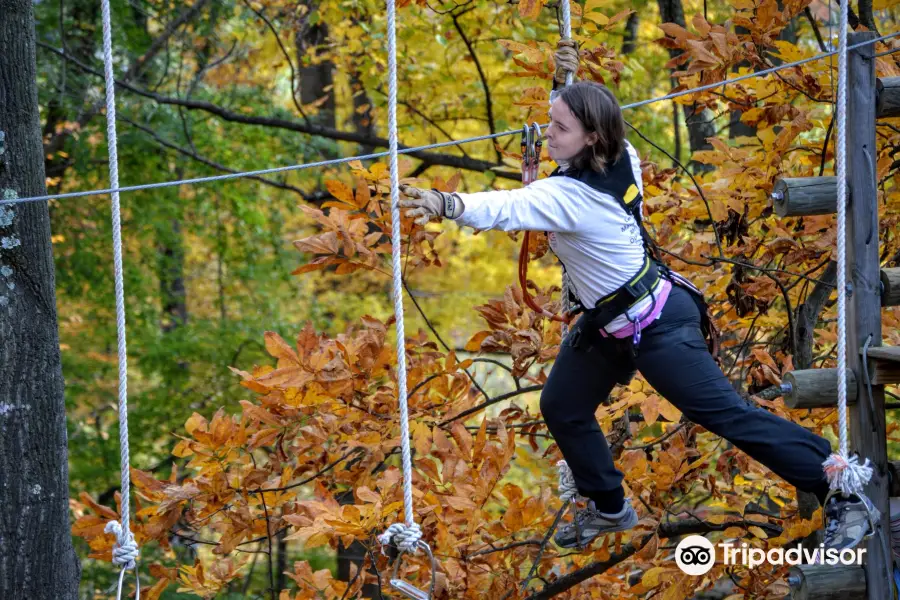 The Adventure Park at Sandy Spring