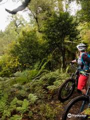 New Zealand Mountain Biking