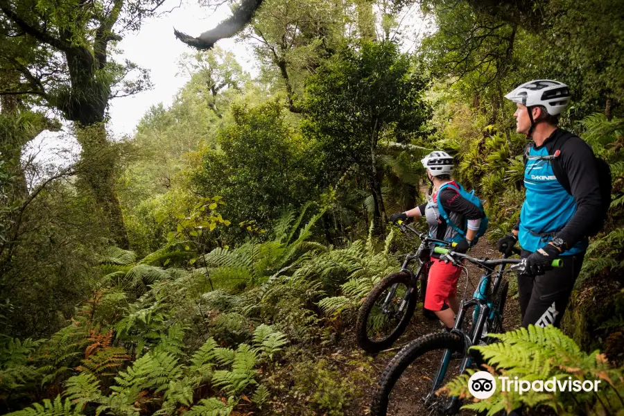 New Zealand Mountain Biking