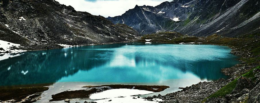 วิลโลว์