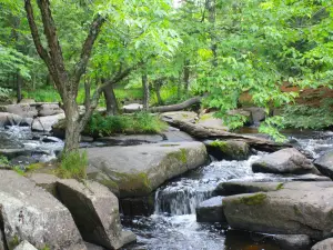 Goodman County Park