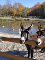 Living Treasures Animal Park